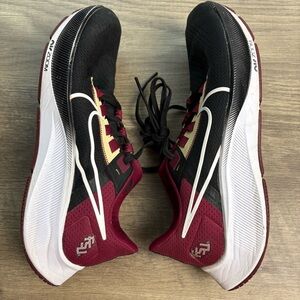 FSU Nike Pegasus 38